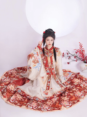 Ming Dynasty Traditional Dress For Chinese New Year