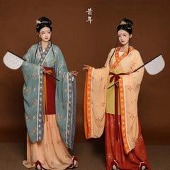Northern Wei Dynasty Clothing Big Sleeves Hanfu